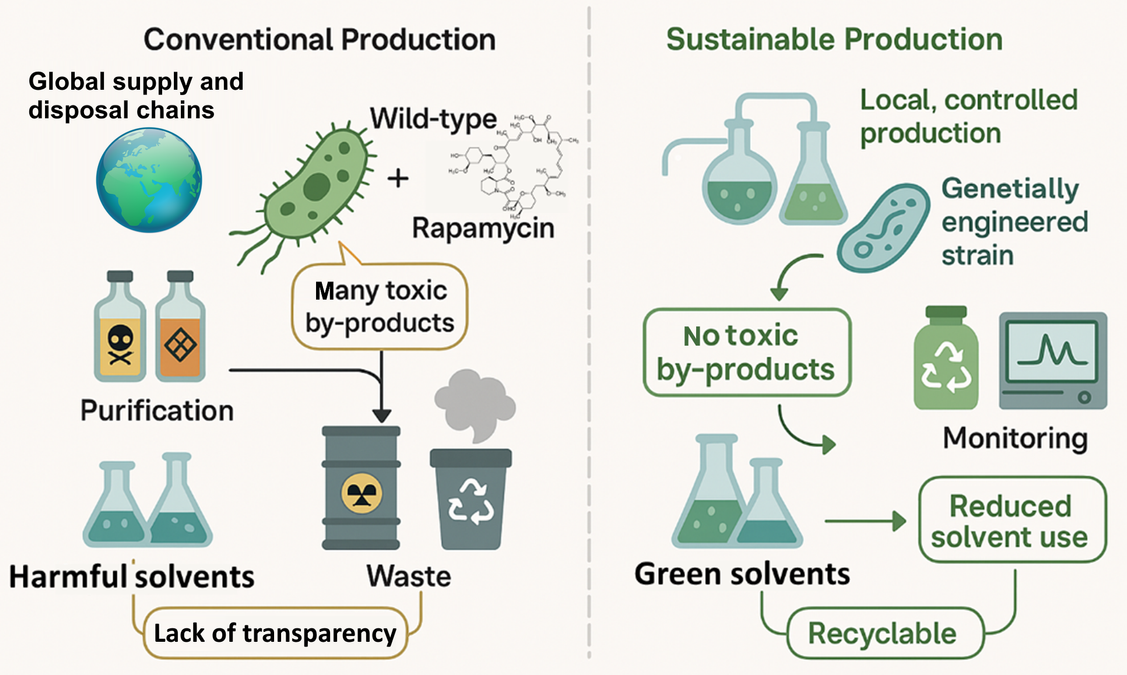 Case study: Sustainable Bioprocess Purification