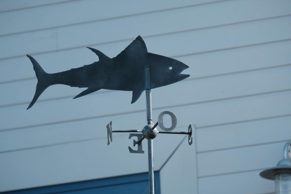 Current challenges and future directions in pharma environmental fate and exposure modelling